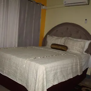 Apartment Comfy, & Elegant New, Kingston